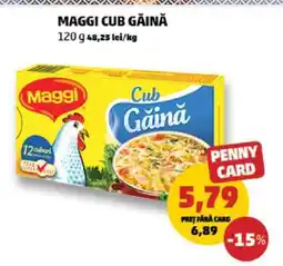 Penny MAGGI CUB GĂINĂ Ofertă