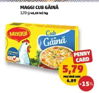 Penny MAGGI CUB GĂINĂ Ofertă
