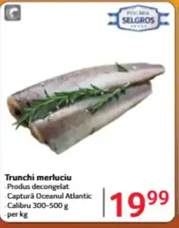 Selgros Trunchi merluciu Ofertă