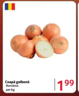 Selgros Ceapǎ galbenă Ofertă