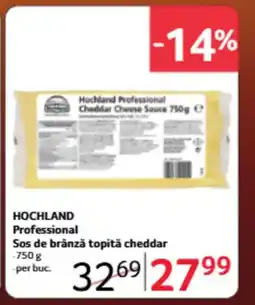 Selgros HOCHLAND Professional Sos de brânză topită cheddar Ofertă