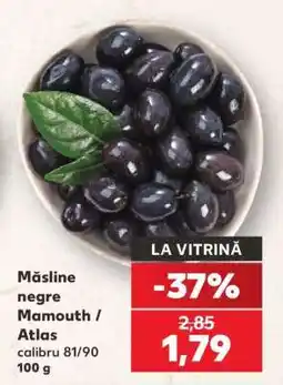 Kaufland Măsline negre Mamouth / Atlas Ofertă