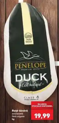 Kaufland Rață tânără eviscerată fără organe Ofertă