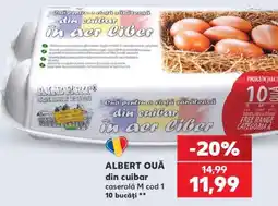 Kaufland ALBERT OUĂ din cuibar Ofertă