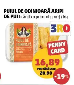 Penny PUIUL DE ODINIOARĂ ARIPI DE PUI Ofertă