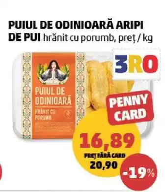 Penny PUIUL DE ODINIOARĂ ARIPI DE PUI Ofertă