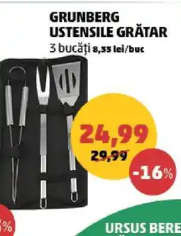 Penny GRUNBERG USTENSILE GRĂTAR Ofertă