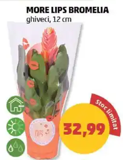 Penny MORE LIPS BROMELIA Ofertă