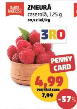 Penny Zmeură caserolă, 125 g Ofertă