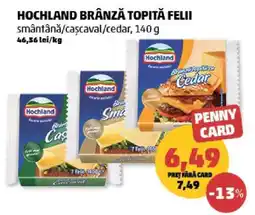 Penny HOCHLAND Brânză topită felii Ofertă