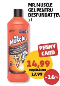 Penny Mr.MUSCLE Gel pentru desfundat țevi Ofertă