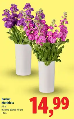 Lidl Buchet Matthiola Ofertă