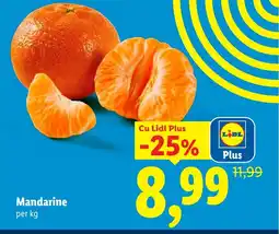 Lidl Mandarine Ofertă