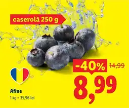 Lidl Afine Ofertă