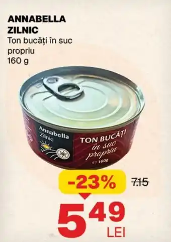 ANNABELLA ZILNIC Ton bucăți în suc propriu