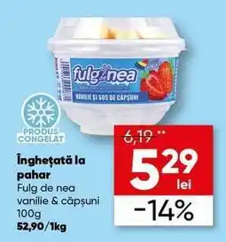 PROFI Înghețată la pahar Ofertă