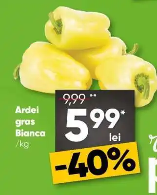 ARDEI GRAS BIANCA
