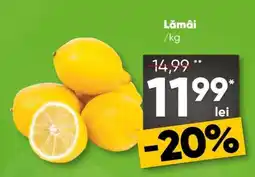 PROFI Lămâi Ofertă