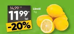 PROFI Lămâi Ofertă