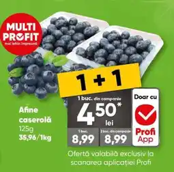 PROFI AFINE CASEROLĂ Ofertă