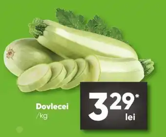 PROFI Dovlecei Ofertă