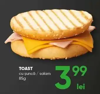 PROFI TOAST Ofertă