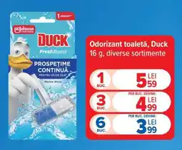 Carrefour Odorizant toaletă, Duck Ofertă