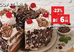 Carrefour Tort Pădurea Neagră Ofertă