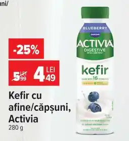 Carrefour Kefir cu afine/căpșuni, Activia Ofertă