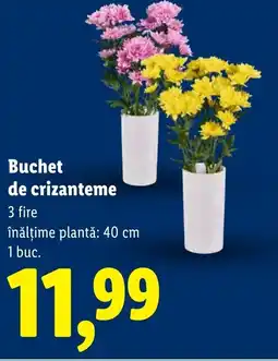 Lidl Buchet de crizanteme Ofertă