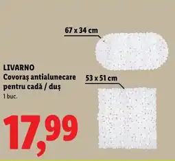 Lidl LIVARNO Covoras antialunecare pentru cadă / duş Ofertă
