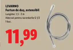Lidl LIVARNO Furtun de duş, extensibil Ofertă