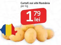 Supeco Cartofi noi albi România Ofertă