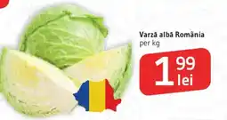 Supeco Varză albă România Ofertă