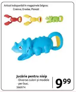 Selgros Jucărie pentru nisip Ofertă