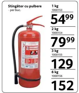 Selgros Stingător cu pulbere Ofertă