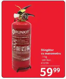 Selgros Stingător cu manometru Ofertă