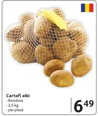Selgros Cartofi albi Ofertă