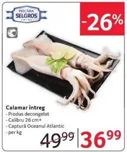 Selgros Calamar întreg Ofertă