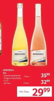 Selgros AEROSOLI Ofertă