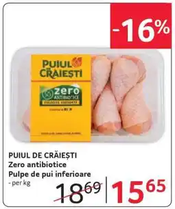 Selgros PUIUL DE CRĂIEȘTI Ofertă