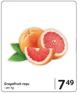 Selgros Grapefruit roşu Ofertă