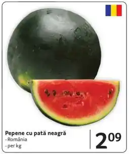 Selgros Pepene cu pată neagră Ofertă