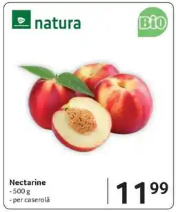 Selgros Nectarine Ofertă