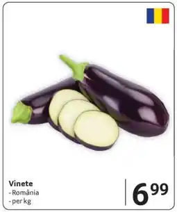Selgros Vinete Ofertă
