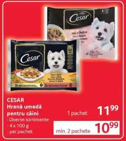 Selgros CESAR Hrană umedă pentru câini Ofertă