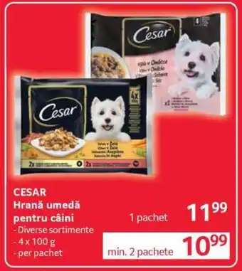 Selgros CESAR Hrană umedă pentru câini Ofertă