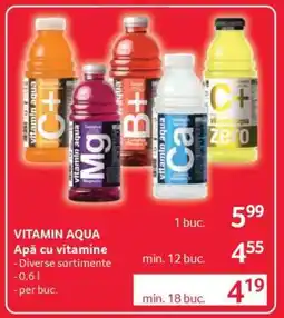 Selgros VITAMIN AQUA Ofertă