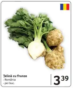 Selgros Ţelină cu frunze Ofertă