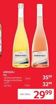 Selgros AEROSOLI Vin Ofertă